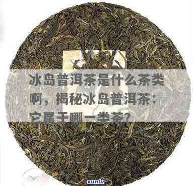 冰岛属于哪种茶，揭秘：冰岛茶究竟是什么种类的茶叶？