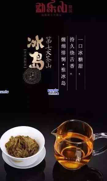 冰岛茶转化后的茶香处理 *** 与后期变化全解析