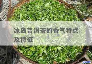 冰岛茶转化后的茶香-冰岛茶转化后的茶香是什么