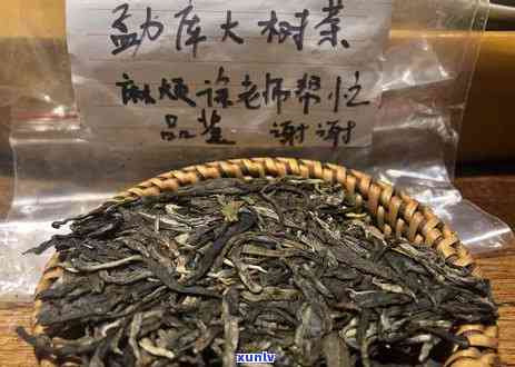 勐库冰岛茶小镇工中标单位，勐库冰岛茶小镇工项目花落谁家：中标单位揭晓！