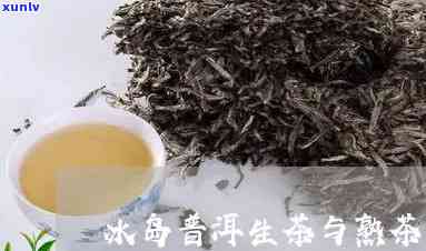 冰岛生茶和熟茶的口感有什么不同，探秘冰岛生茶与熟茶的独特口感差异