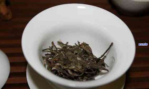 冰岛生茶和熟茶的口感有什么不同，探秘冰岛生茶与熟茶的独特口感差异