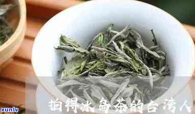 茶界中的台冰岛茶-茶界中的台冰岛茶是什么