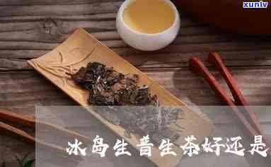 冰岛熟茶还是生茶好-冰岛熟茶还是生茶好喝