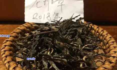 昔归茶与冰岛茶的区别，探究昔归茶与冰岛茶的不同之处