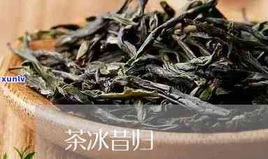 临沧昔归茶与冰岛茶-昔归茶与冰岛茶的区别