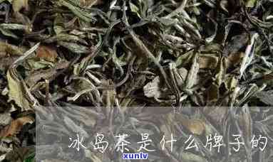 冰岛麻黑茶是什么茶-冰岛麻黑茶是什么茶叶