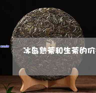 冰岛生茶和熟茶区别-冰岛生茶和熟茶区别在哪