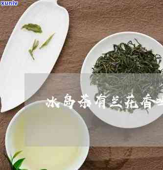 冰岛古树茶有兰香味-冰岛古树茶有兰香味吗