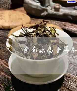 云南冰岛古树茶生茶-云南冰岛古树茶是生普洱茶吗