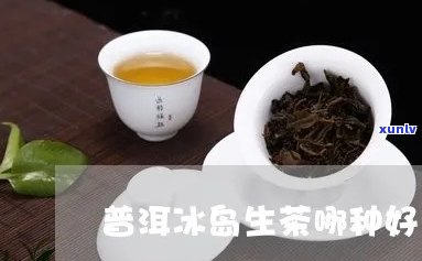 澜沧生茶与冰岛生茶-澜沧生茶与冰岛生茶哪个好