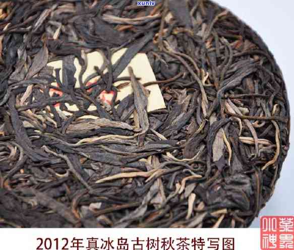 冰岛古树茶秋茶价格多少，探究冰岛古树茶秋茶的市场价格