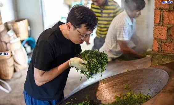 冰岛古树茶炒茶手法视频，探索冰岛古树茶的独特魅力：炒茶手法视频解析