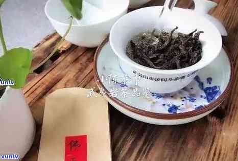 冰岛晒红是普洱茶吗，普洱茶还是冰岛晒红？揭开神秘面纱