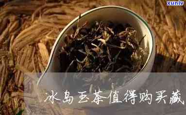 冰岛玉茶50年的茶-冰岛玉茶50年的茶还能喝吗