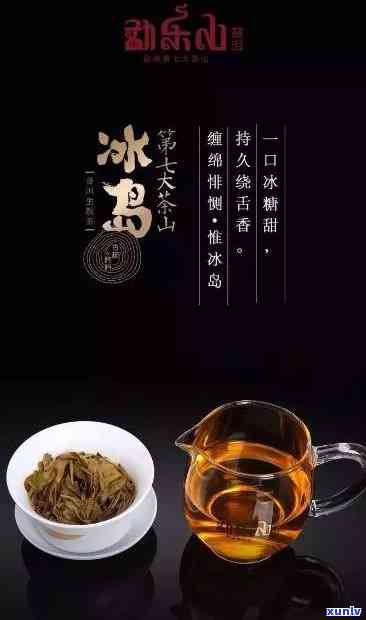 哪个牌子的冰岛茶好-哪个牌子的冰岛茶好喝