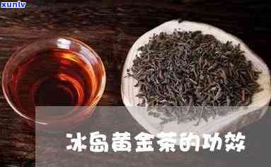 冰岛茶里面给有金花-冰岛茶里面给有金花的是什么