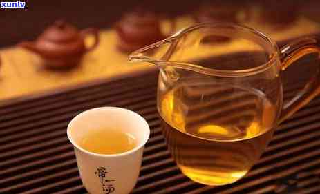 古树茶是冰岛茶的一种吗？探讨其分类、特点及价格差异