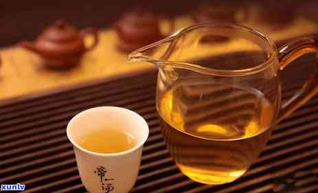 古树茶是冰岛茶的一种吗？探讨其分类、特点及价格差异