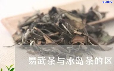 易武茶与冰岛茶区别-易武茶与冰岛茶区别在哪