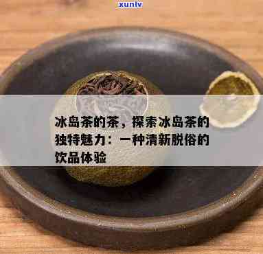 冰岛茶的茶，探索冰岛茶的独特魅力：一种清新自然的茶饮体验