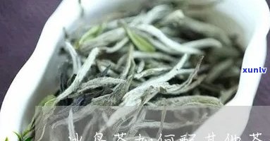 冰岛茶怎么喝才好喝-冰岛茶怎么喝才好喝呢