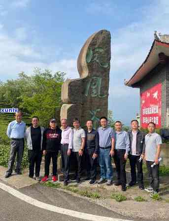 冰岛茶产地在哪里，揭秘冰岛茶田：追寻冰岛茶的起源与种植地