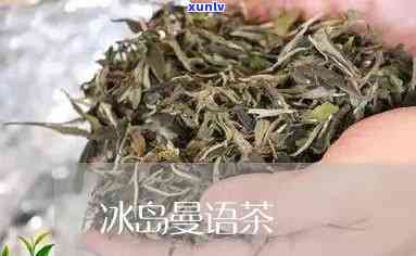 曼诺茶冰岛茶哪个好-曼诺茶冰岛茶哪个好喝一点