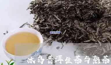 冰岛生茶和熟茶的口感有什么不同，口感对比：冰岛生茶与熟茶的不同之处-