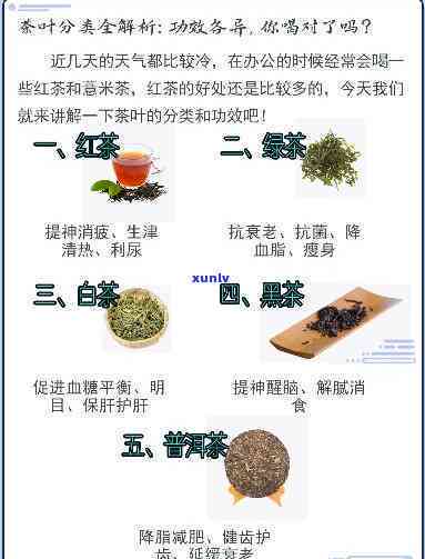 探究不同茶叶的不同功效：类型、效果及对比分析