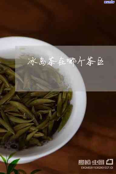 冰岛茶属于哪个茶区-冰岛茶属于哪个茶区的