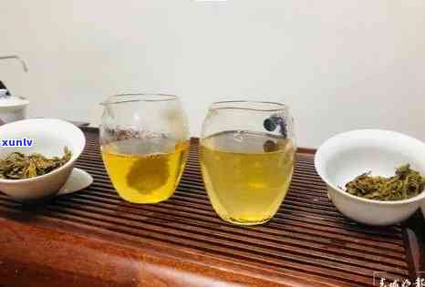 冰岛小粒茶是什么茶类？红茶or绿茶？冲泡 *** 全解析！