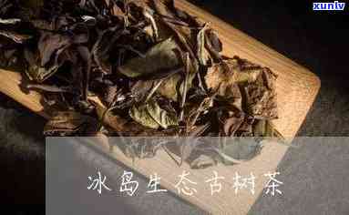 冰岛生态茶是什么茶-冰岛生态茶是什么茶类