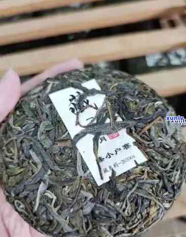 跟冰岛茶最接近的茶，探索相似之处：与冰岛茶最为相近的茶叶品种