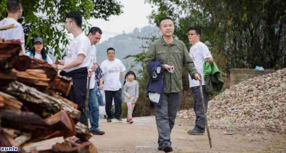 昔归茶与冰岛茶的价格、产地及区别全解析