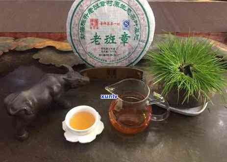 冰岛生态茶是什么茶？探索其品种与口感特性