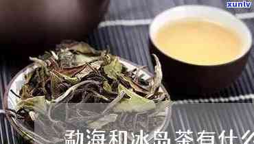 勐海茶就是冰岛茶吗-勐海茶就是冰岛茶吗为什么