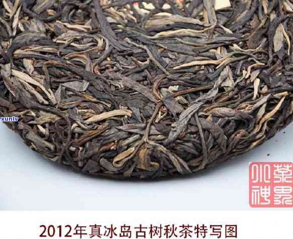 冰岛普洱春茶和秋茶的区别，探秘冰岛普洱春茶与秋茶的差异