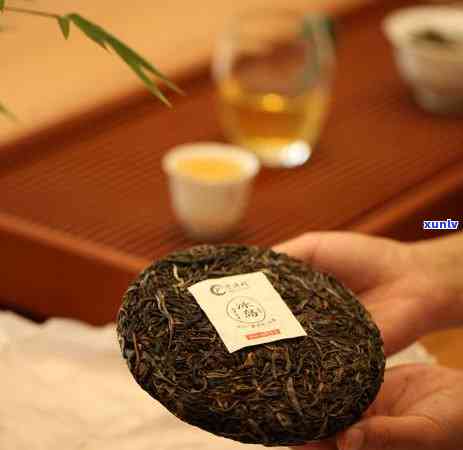 冰岛茶属于哪种茶？详解其种类、颜色与品种特性