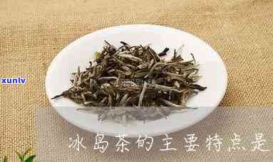 冰岛茶是属于什么茶类，特点和茶区