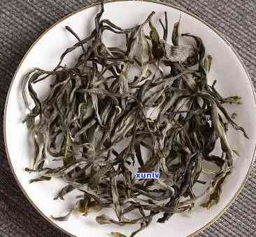 冰岛小树茶散茶图片-冰岛小树茶散茶图片大全