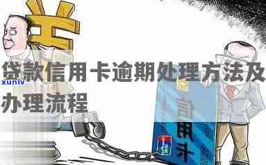 全面解答：翡翠豆种的优缺点分析，为何不是最不好的选择？