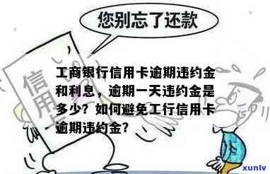 一斤装的普洱茶价格：多少钱一斤？有哪些价格表可以参考？