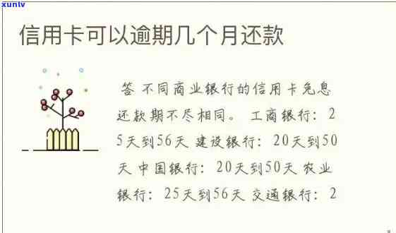 2021年信用卡逾期还款如何协商分期，专家教你处理 *** 