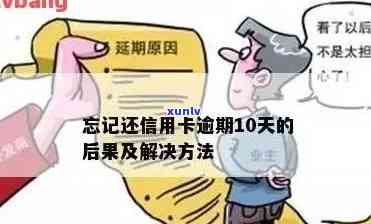 忘了还信用卡十天影响及处理