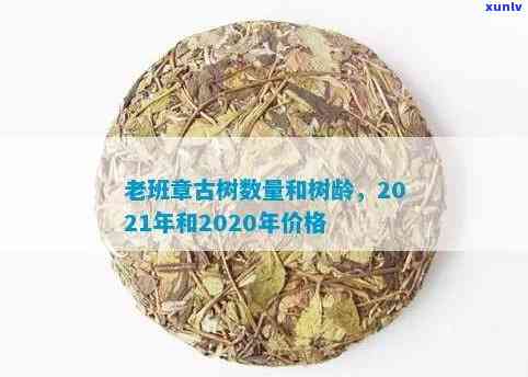 老班章古树茶的特点和口感，2020/2021价格及礼盒装