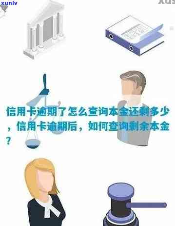 信用卡逾期了如何查询-信用卡逾期了如何查询本金