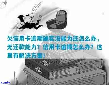 欠信用卡逾期确实没能力还怎么办？