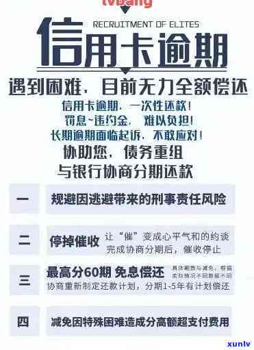 信用卡逾期怎么还款罚息-信用卡逾期怎么还款罚息更低