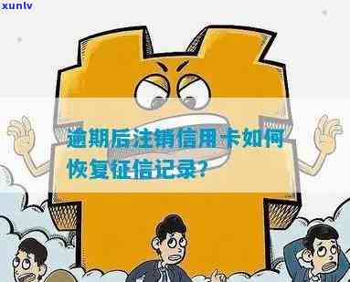 信用卡逾期直接被注销怎么办？如何恢复？